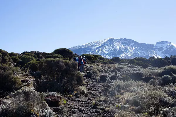 7-day Lemosho route Kilimanjaro climbing tour package