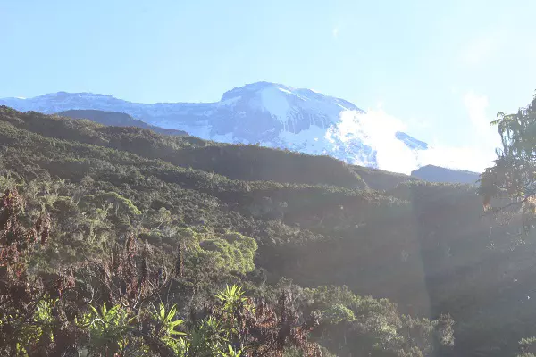Machame route Kilimanjaro climbing tour packages